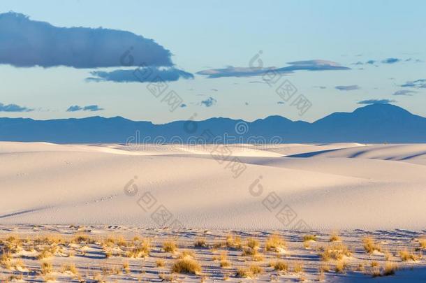 沙沙丘在白色的沙漠n在ional纪念碑[新的墨西哥,美利坚合众国]