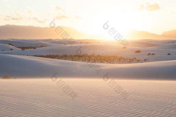 沙沙丘在白色的沙漠n在ional纪念碑[新的墨西哥,美利坚合众国]