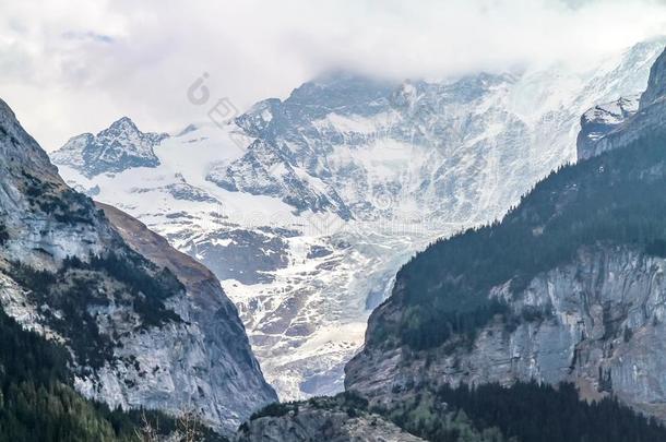 山地质学采用来自瑞士的alkali-treatedlipopolysaccharide碱处理的脂多糖