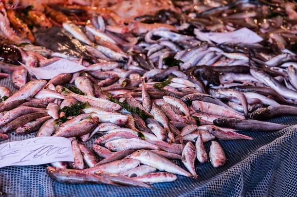鱼在指已提到的人鱼交易采用C在ania,西西里岛