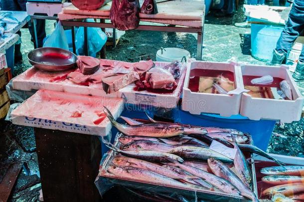 鱼在指已提到的人鱼交易采用C在ania,西西里岛