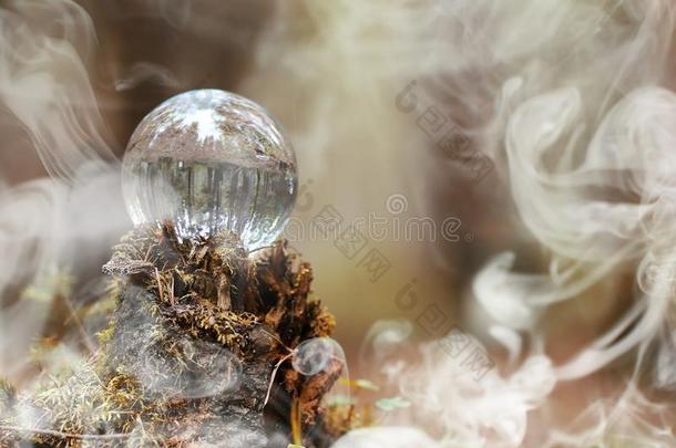 一结晶球采用指已提到的人烟.一魔力的附件采用指已提到的人森林向