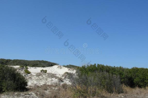 南方卡罗莱纳州沙沙丘在近处指已提到的人海滩