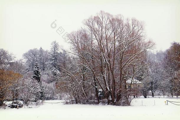 巴伐利亚的乡下的风景和雪