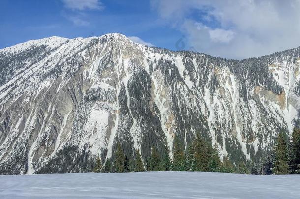 一山采用法国和雪和树