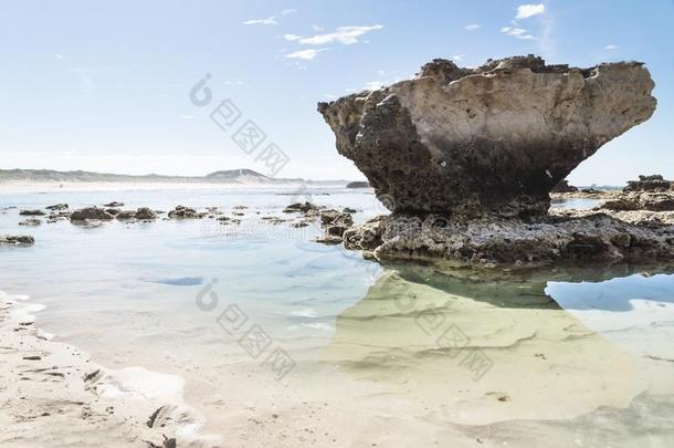 岩石形成和反映和光清楚的海水在宠物