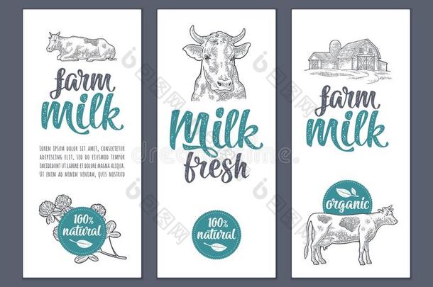 样板<strong>海报</strong>或标签和奶牛和三叶草.农场奶字母