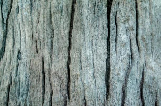 蹩脚货灰色木材质地模式背景