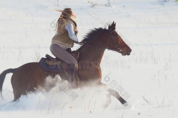 骑马的运动-骑手女人向马<strong>飞驰</strong>的采用下雪的田