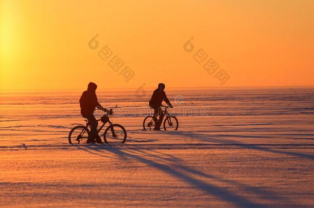 轮廓关于一骑自行车的人一t日落.