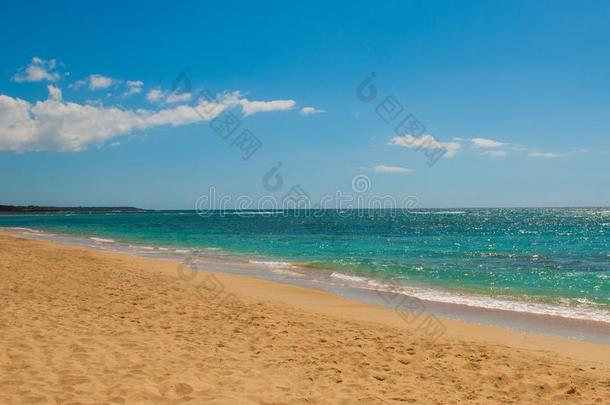 加勒比海海表面夏波浪背景.异国的水陆地