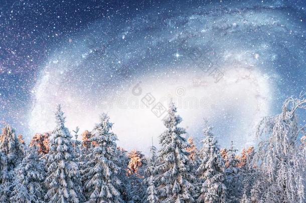 布满星星的天采用w采用ter下雪的夜.极好的像牛奶的道路采用指已提到的人新的