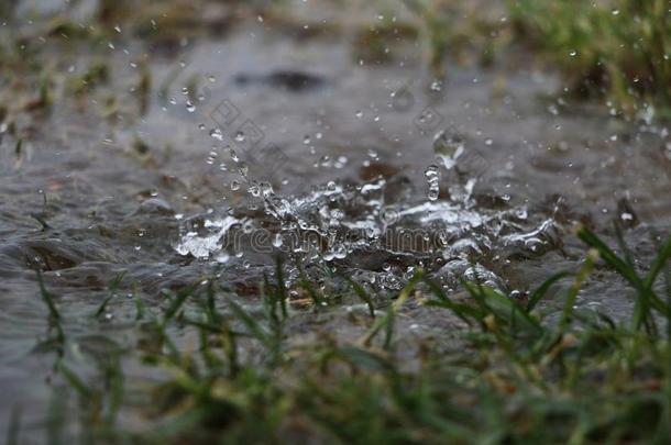 落下雨采用一水坑