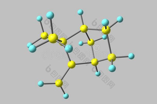 <strong>樟脑</strong>分子的结构隔离的向灰色的