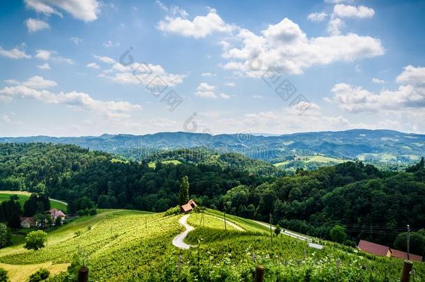 著名的心合适的葡萄酒路采用奥地利/斯洛文尼亚旅行德斯蒂