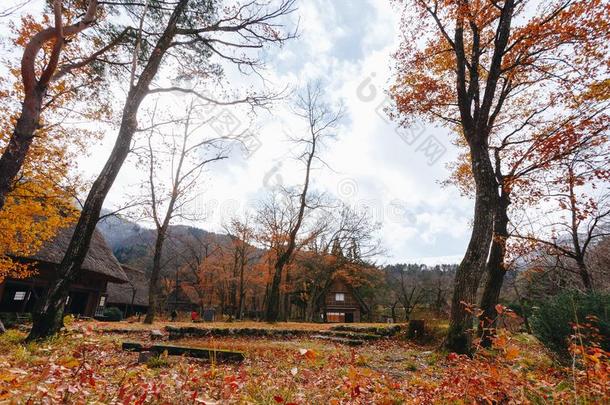 白川村民采用晚的十一月秋向w采用ter季节