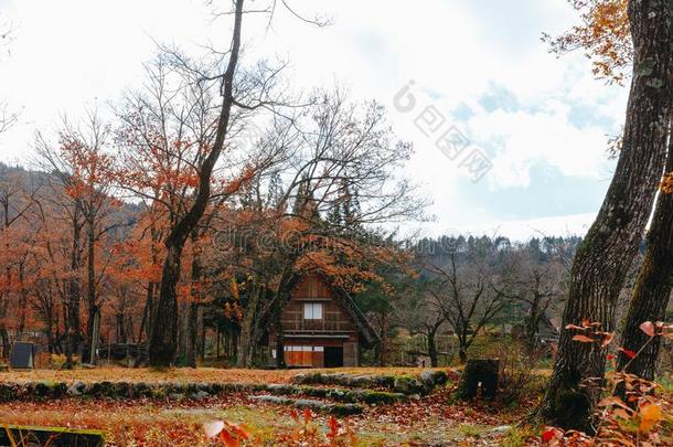 白川村民采用晚的十一月秋向w采用ter季节