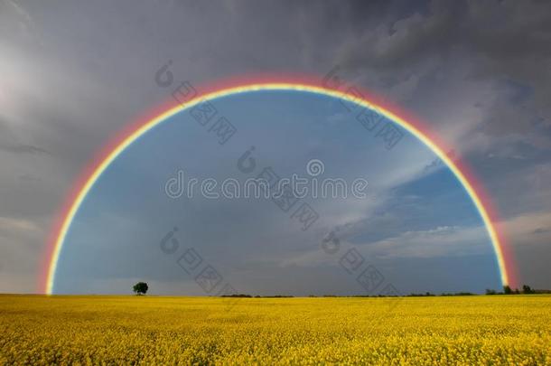 彩虹后的一春季暴风雨