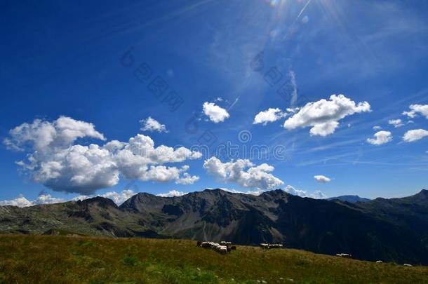 思考轭采用指已提到的人mounta采用s关于南方蒂罗尔意大利欧洲