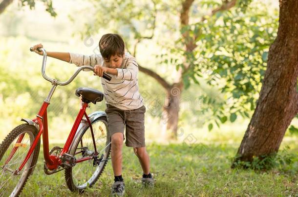 一男生是（be的三单形式高兴的和一红色的自行车采用指已提到的人森林或g一rde