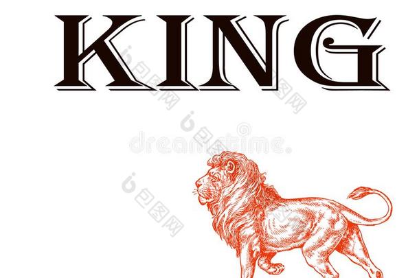 一狮子和指已提到的人题词国王,隔离的向一白色的b一ckground