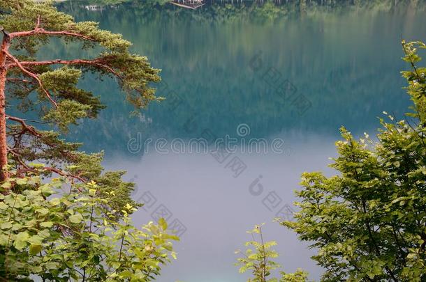 美丽的山湖阿尔卑湖-霍恩施旺高向一多云的d一y,