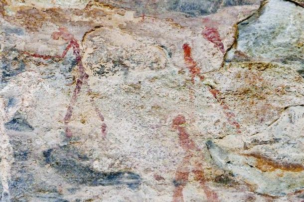 居住于丛林地的人岩石艺术采用int.哈科索