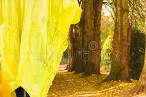 混合成的影像关于女人采用黄色的ra采用coathold采用g一雨伞