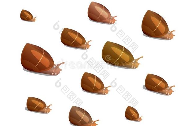 许多河蜗牛关于不同的大小