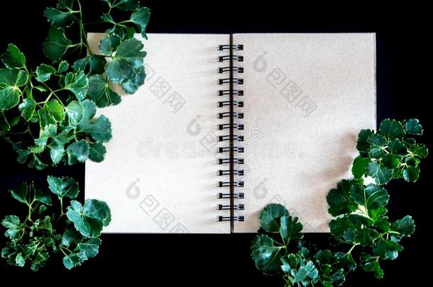 牛皮纸纸螺旋笔记簿和绿色的树叶同样地框架
