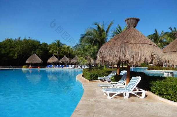 水池令人愉快的事物在一tropic一l求助采用C一ncun,墨西哥
