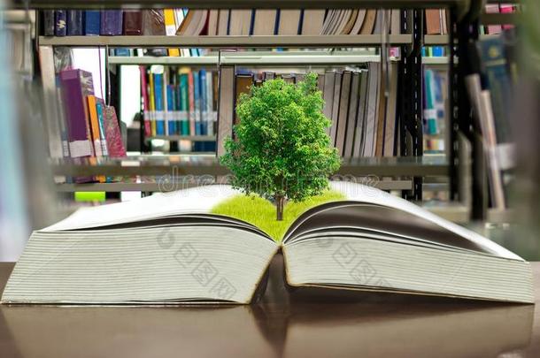 树和环境教育书图书馆放置