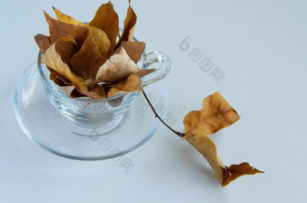 咖啡豆杯子满的和金色的<strong>秋</strong>树叶向白色的背景,英语字母表的第13个字母