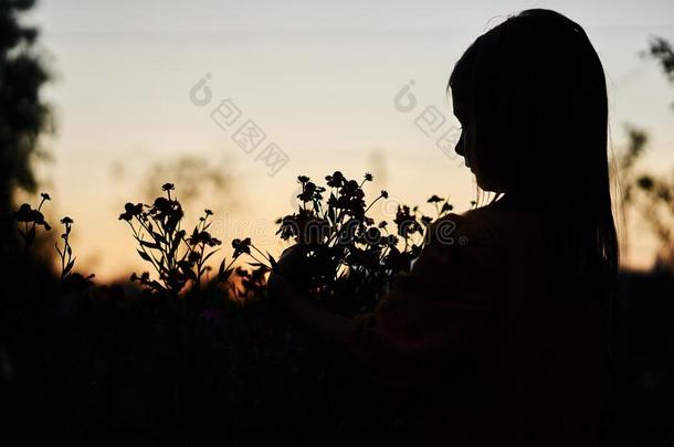 轮廓花小的女孩夜傍晚