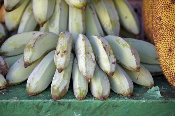 束关于香蕉ductassuranceoperations产品保证有效期或香蕉马梅洛