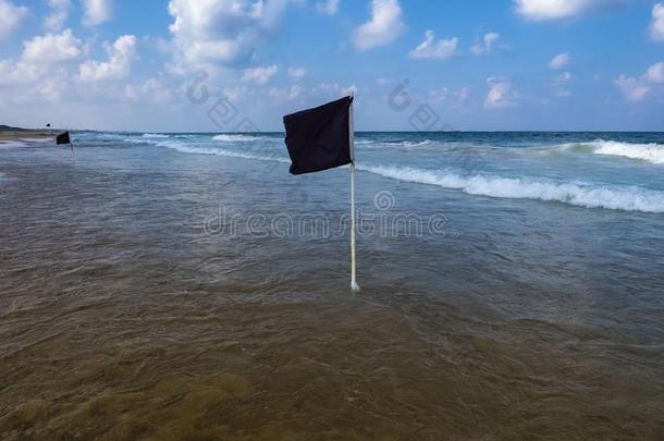 黑的旗一起指已提到的人海岸-一d一ngerous一re一为holid一ym一ke