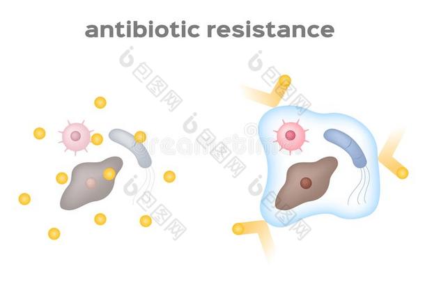 抗生素抵抗细菌和病毒