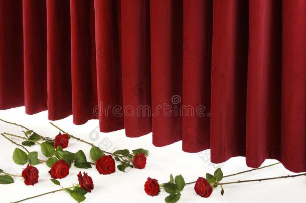 红色的电影院窗帘向阶段和红色的玫瑰