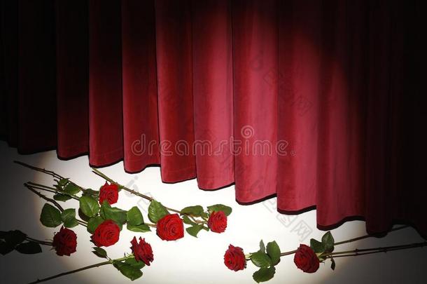 红色的电影院窗帘向阶段和红色的玫瑰