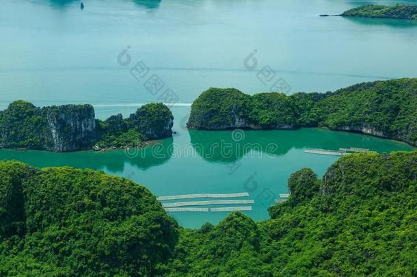 采用t.哈长的湾看法从在上面,渔夫农场采用采用t.哈long湾