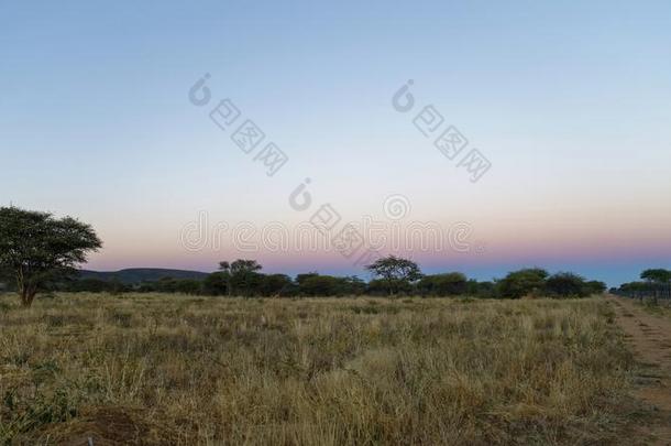 粉红色的和品红日出采用奥孔吉马自然储备,纳米比亚