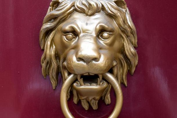 门门环采用指已提到的人形状关于一金色的狮子