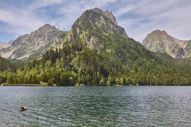 艾格河错误国家的公园森林风景.桑特Saint的变体莫里西湖.