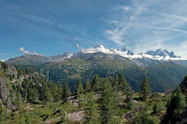 令人晕倒的雪脱帽致意山峰关于指已提到的人阿尔卑斯山的背脊关于指已提到的人montane山地森林白