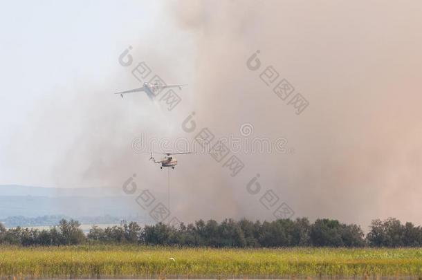 共同的消防在旁边飞机和直升机,向洪泛平原关于