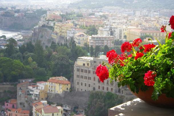 索伦托意大利富有色彩的建筑物和盆栽的天竺葵
