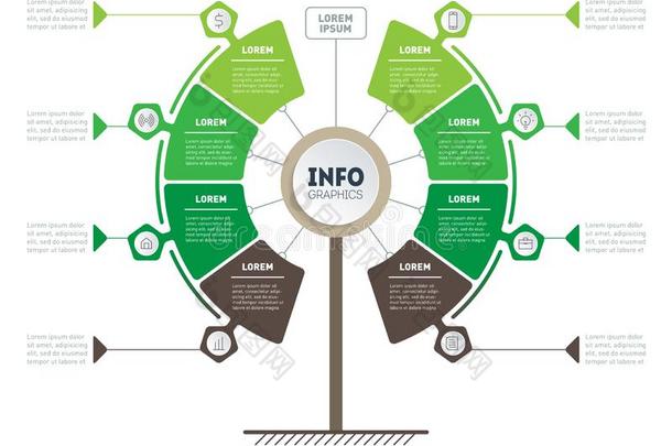 垂直的时间轴信息图表.生态学研究.树关于德维洛