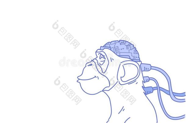 猴上端连接的现代的电子人脑人造的智慧