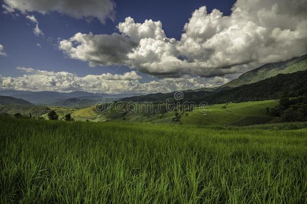 稻田向台地的风景.蓝色天
