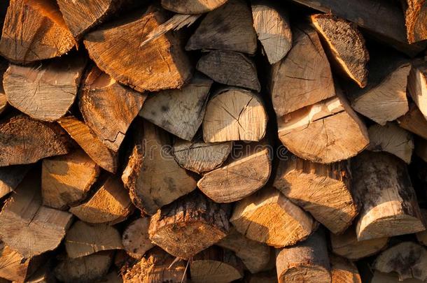 木材树干镇定的为木柴为指已提到的人冬
